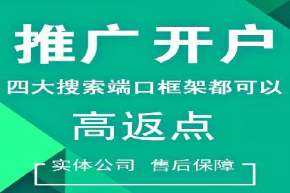 优化SEM竞价策略：成功案例剖析